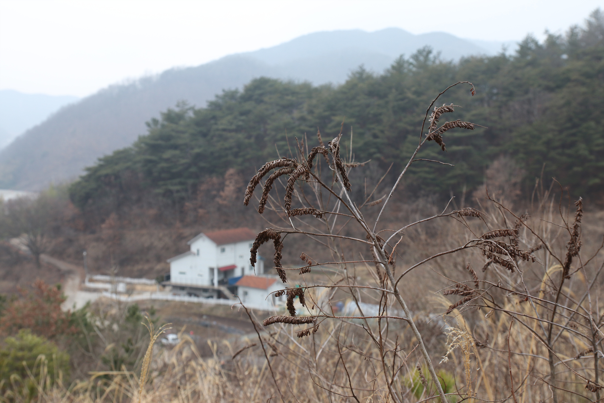 경남 의령군 국사봉 05 66