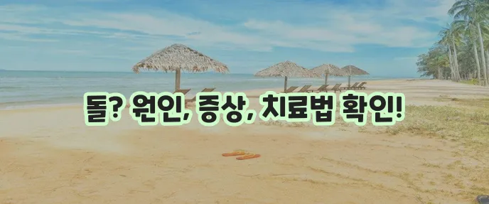 담낭 결석 담석증 원인 증상 치료법 3가지 꼭 알아두세요!