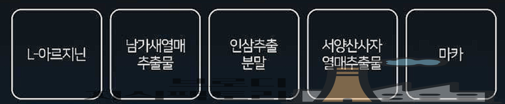 브이맥스 울트라 효능 가격