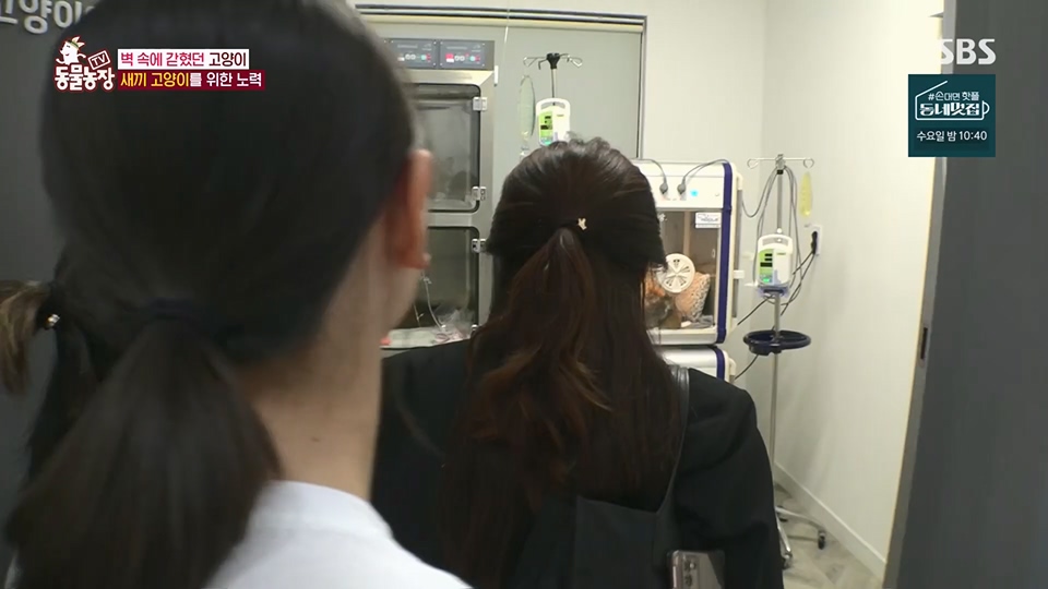 TV 동물농장.E1124.230611p.H264-F1RST.mp4_20230611_173550.904.jpg