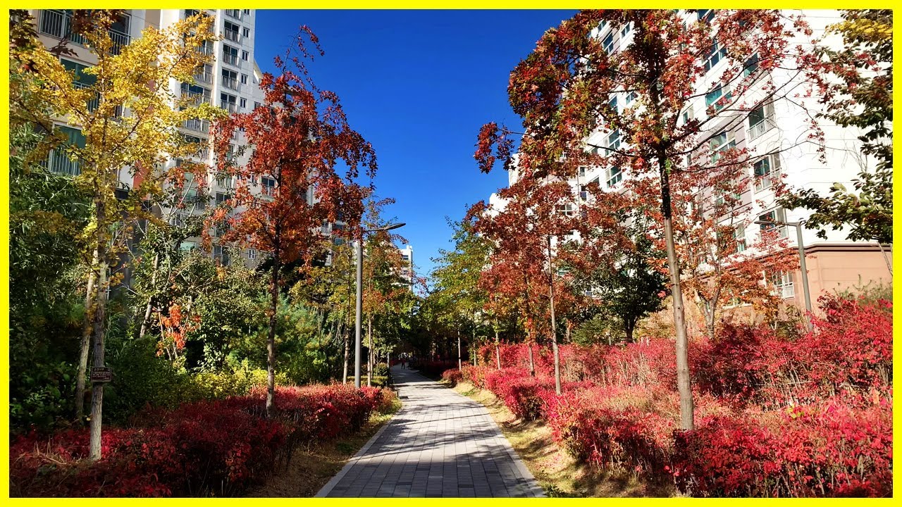  마곡지구의 마곡8단지와 마곡힐스테이트 그리고 마곡9단지 샛길산책 | 마곡동 Korea Seoul Walking Tour 4K