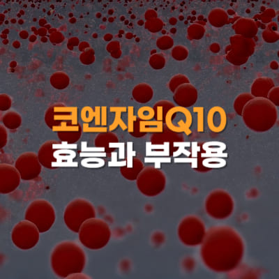 코엔자임Q10&#44; 효능&#44; 부작용&#44; 권장량&#44; 섭취량