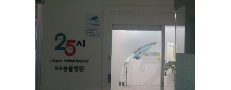 대구 달성군 근처 동물병원 추천 정보 | 24시간 잘하는곳 고양이 강아지 중성화 수술 애견 가격 비용 금액 후기 -
25시 죽곡동물병원
대구 달성군 동물병원