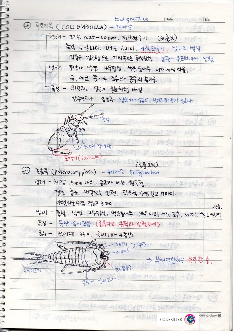  [수목해충학] 2. 곤충의 계통분류 - 톡토기목, 돌좀목