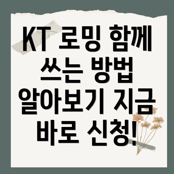 KT 로밍 함께 쓰는 로밍