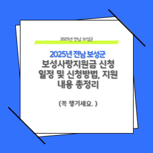 2025년 보성군 보성사랑지원금