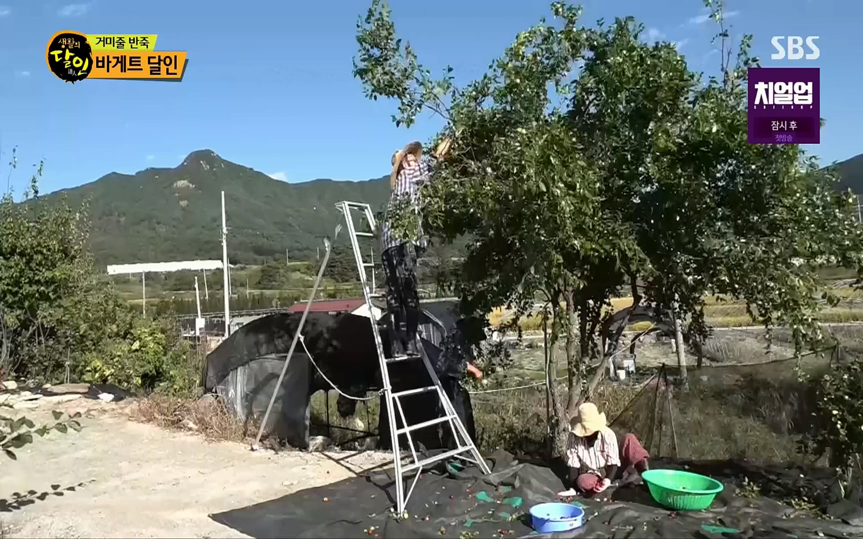 생활의 달인.E861.221003p.H264-F1RST.mp4_20221004_202709.647.jpg