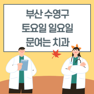 부산 수영구 토요일 일요일 치과 진료 병원 리스트