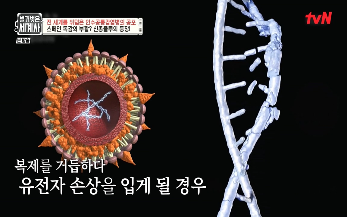 벌거벗은 세계사.E59.220810p-NEXT.mp4_20220810_212434.172.jpg