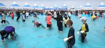 서천 광어 도미 축제에서 제철 맛 체험 완벽 여행 가이드_18