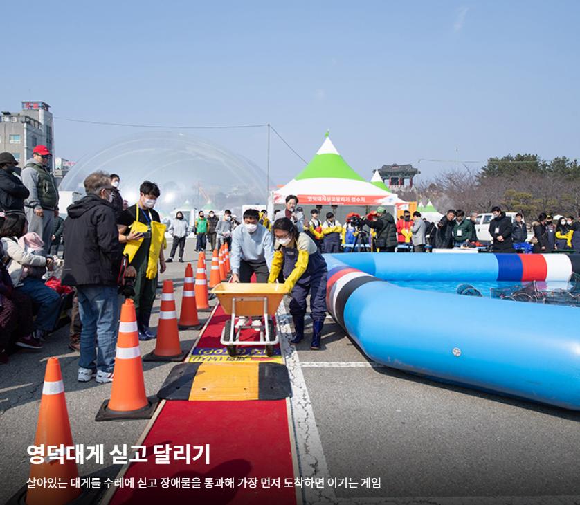 영덕대게축제