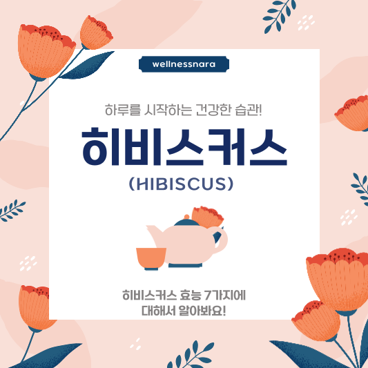  히비스커스(Hibiscus) 효능 7가지, 아침 차 한 잔으로 가족 건강 챙겨요!