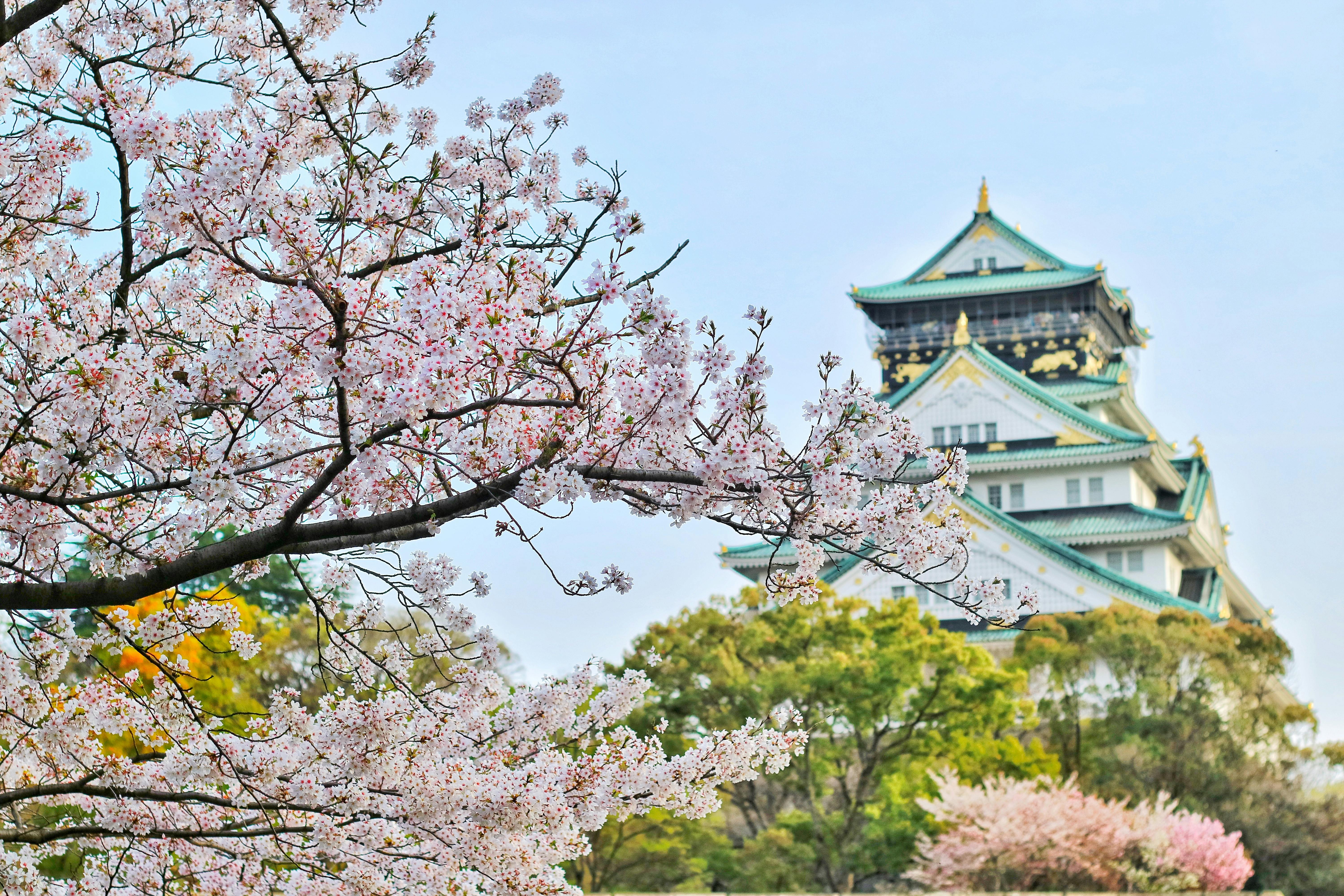 일본