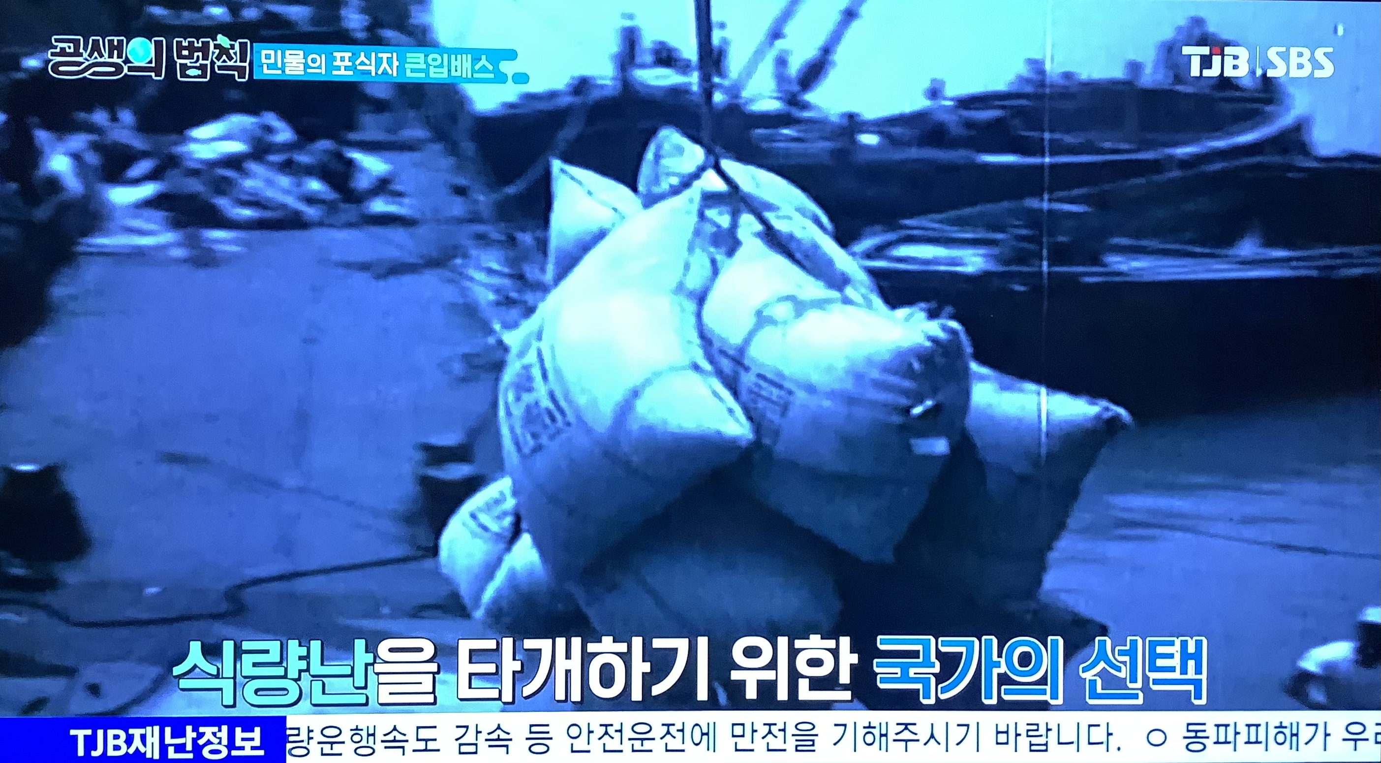 공생의 법칙 방송 화면