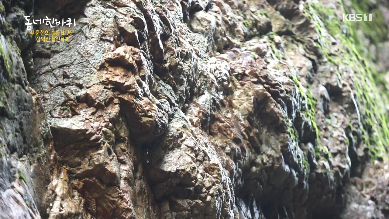 동네 한 바퀴.E237.230827p-NEXT.mp4_20230829_211347.755.jpg