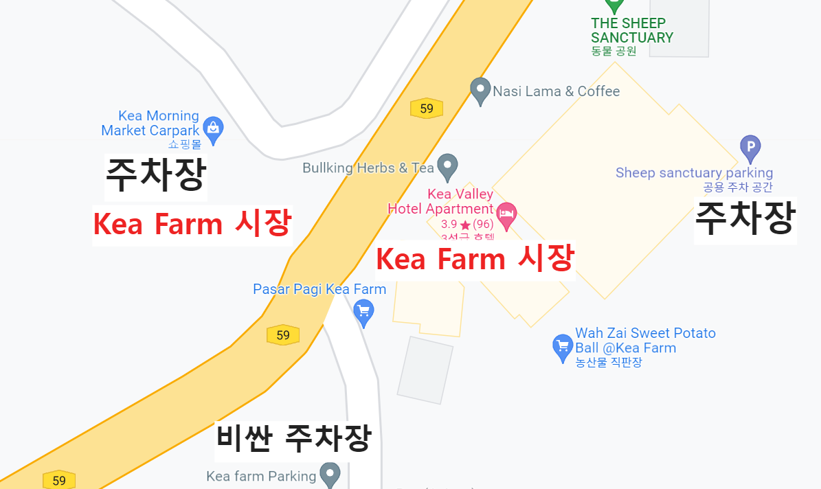 카메론하이랜드 Pasar Pagi Kea Farm