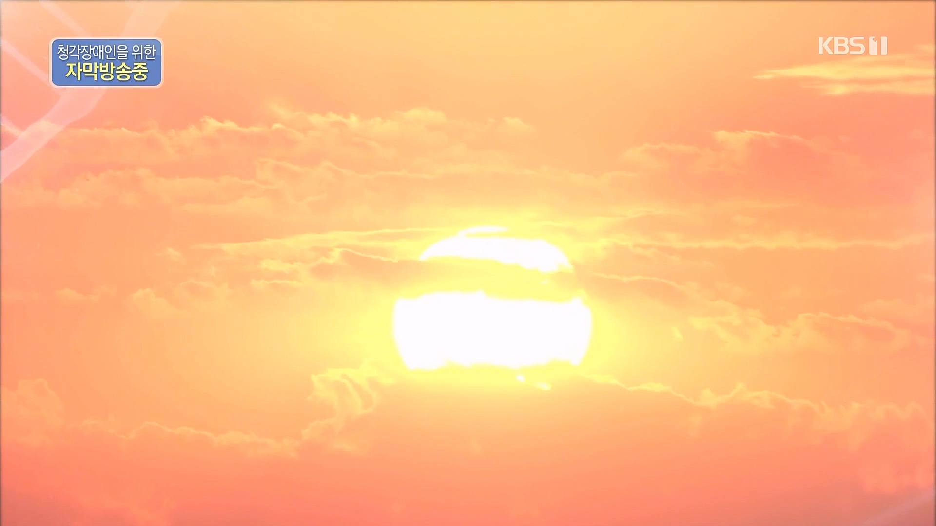 다큐 온.E184.230127p.WANNA.mp4_20230203_203835.588.jpg