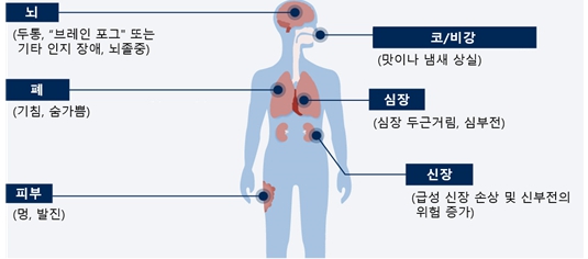 코로나 증상