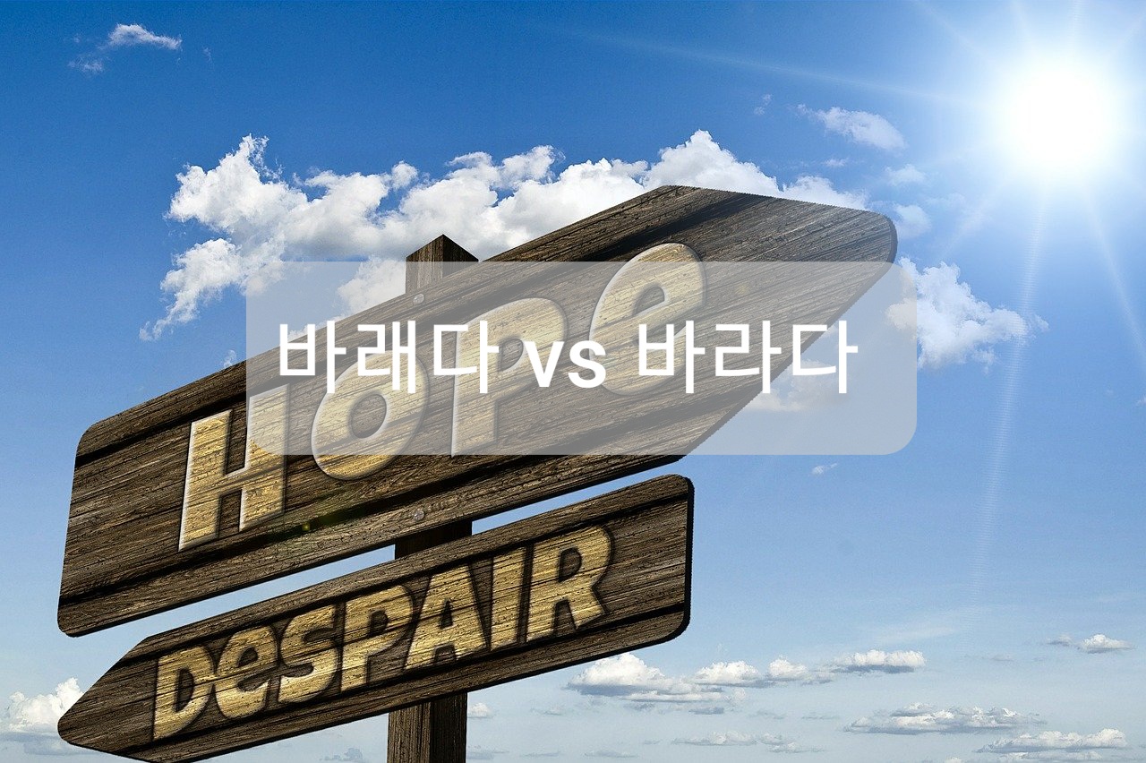  바래다 바라다 올바른 사용법