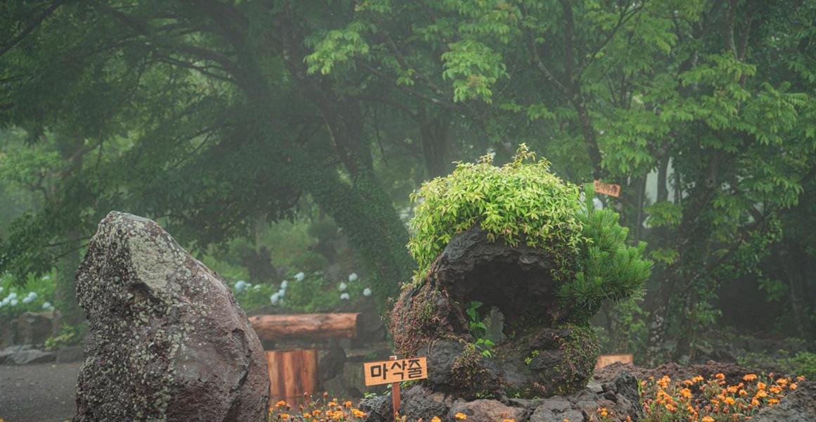 제주 돌낭예술원4