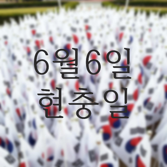  [6월]6.6현충일, 태극기다는법