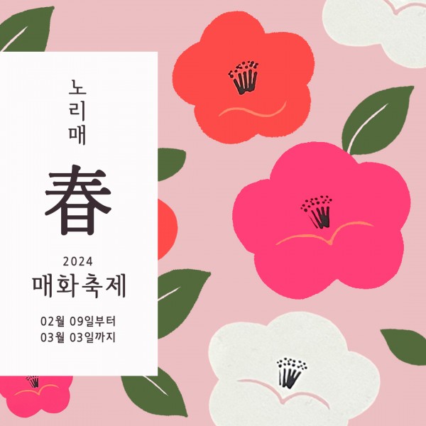  봄의 전령사 매화꽃 개화 명소 딱 '3곳' 공개합니다.