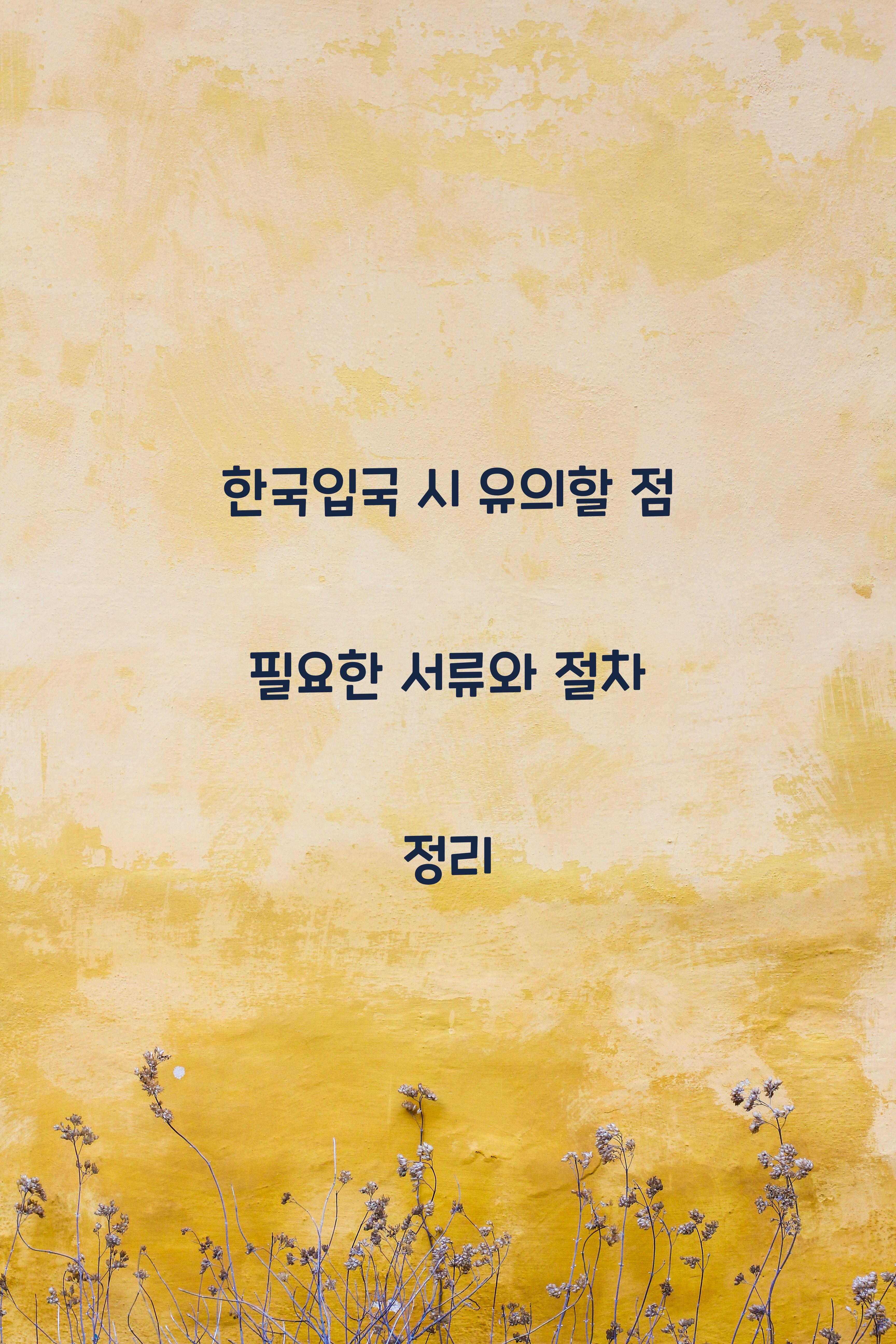 한국입국