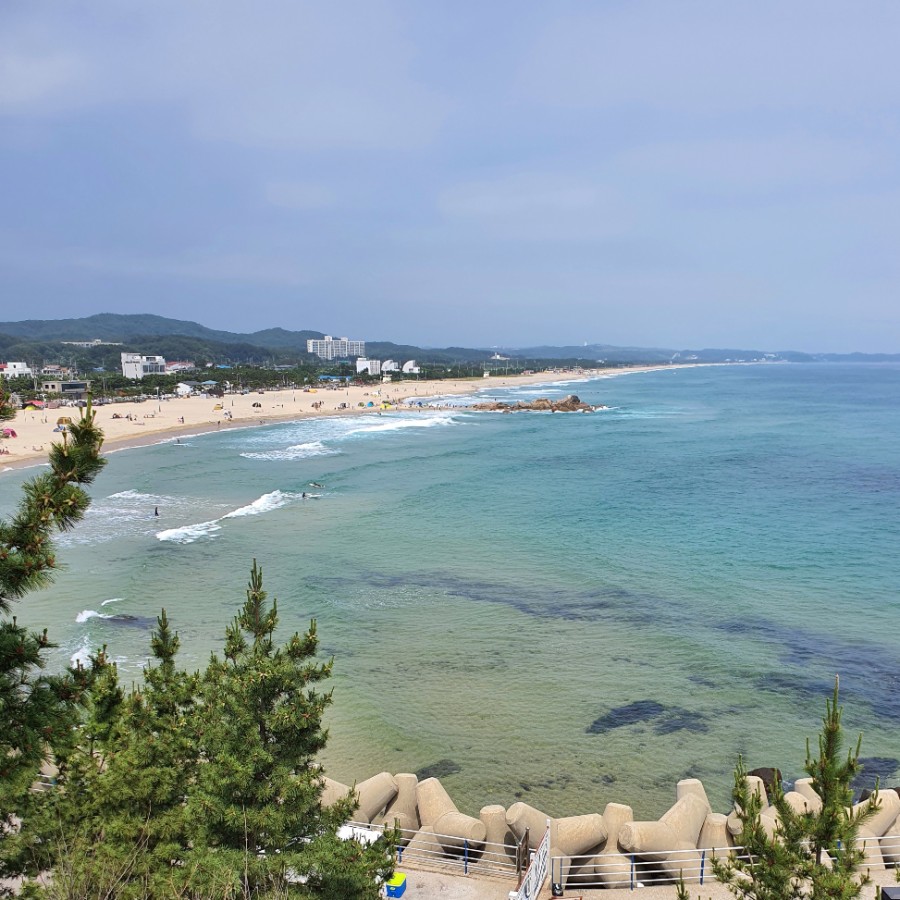 가격, 연령 제한 등 총정리! 2020 하계내일로 여행코스, 8