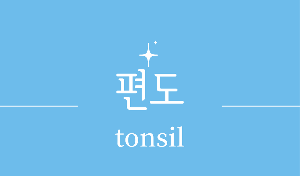 '편도(tonsil)'