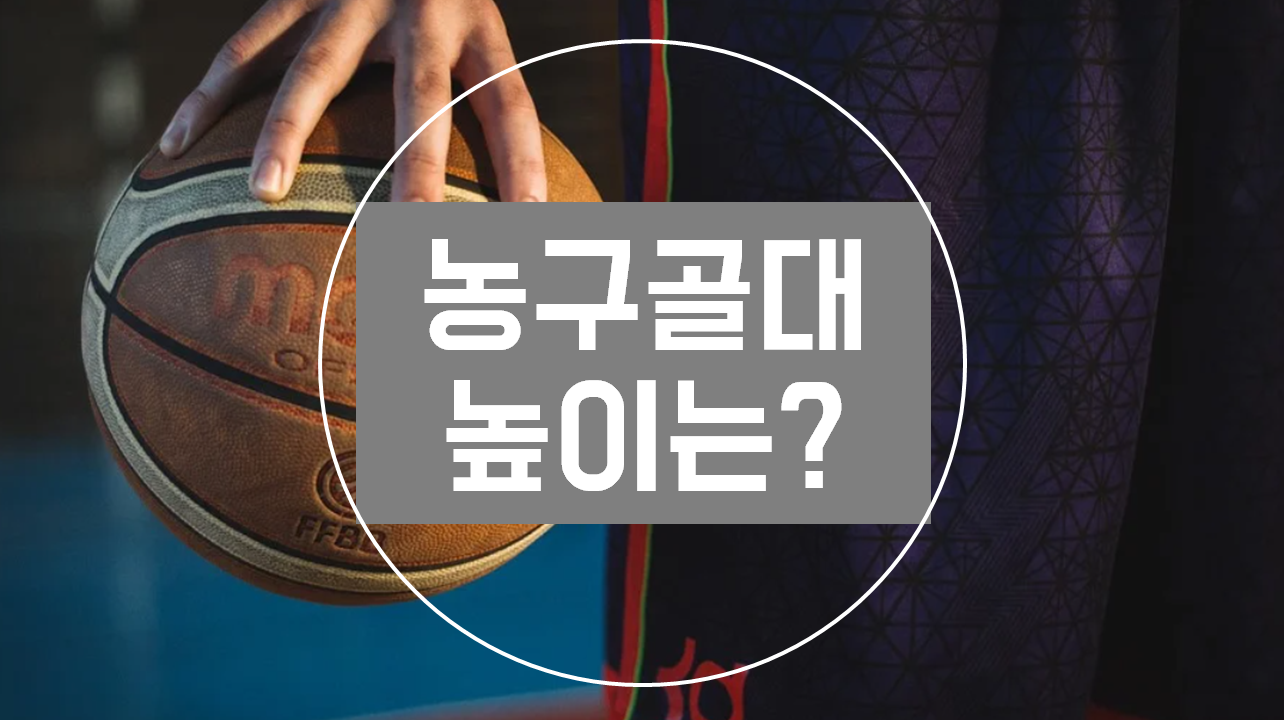  농구 골대 높이, 백보드 규격까지 알아보자!
