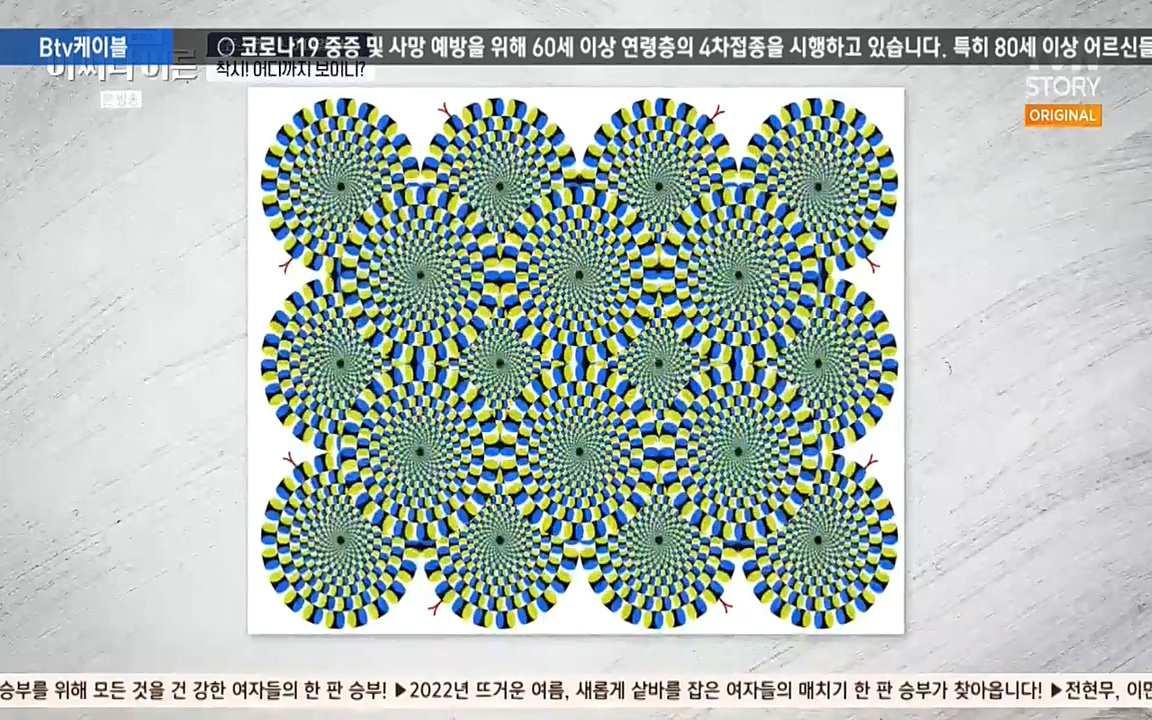 어쩌다 어른.E06.220715p-NEXT.mp4_20220912_140104.255.jpg