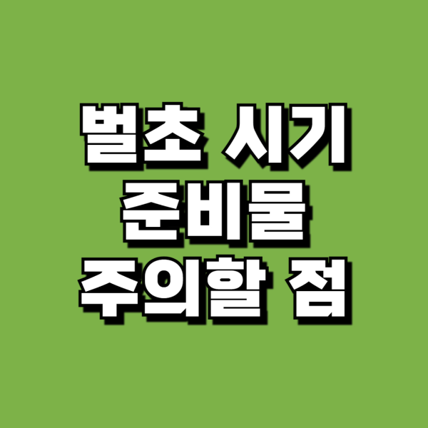 벌초시기