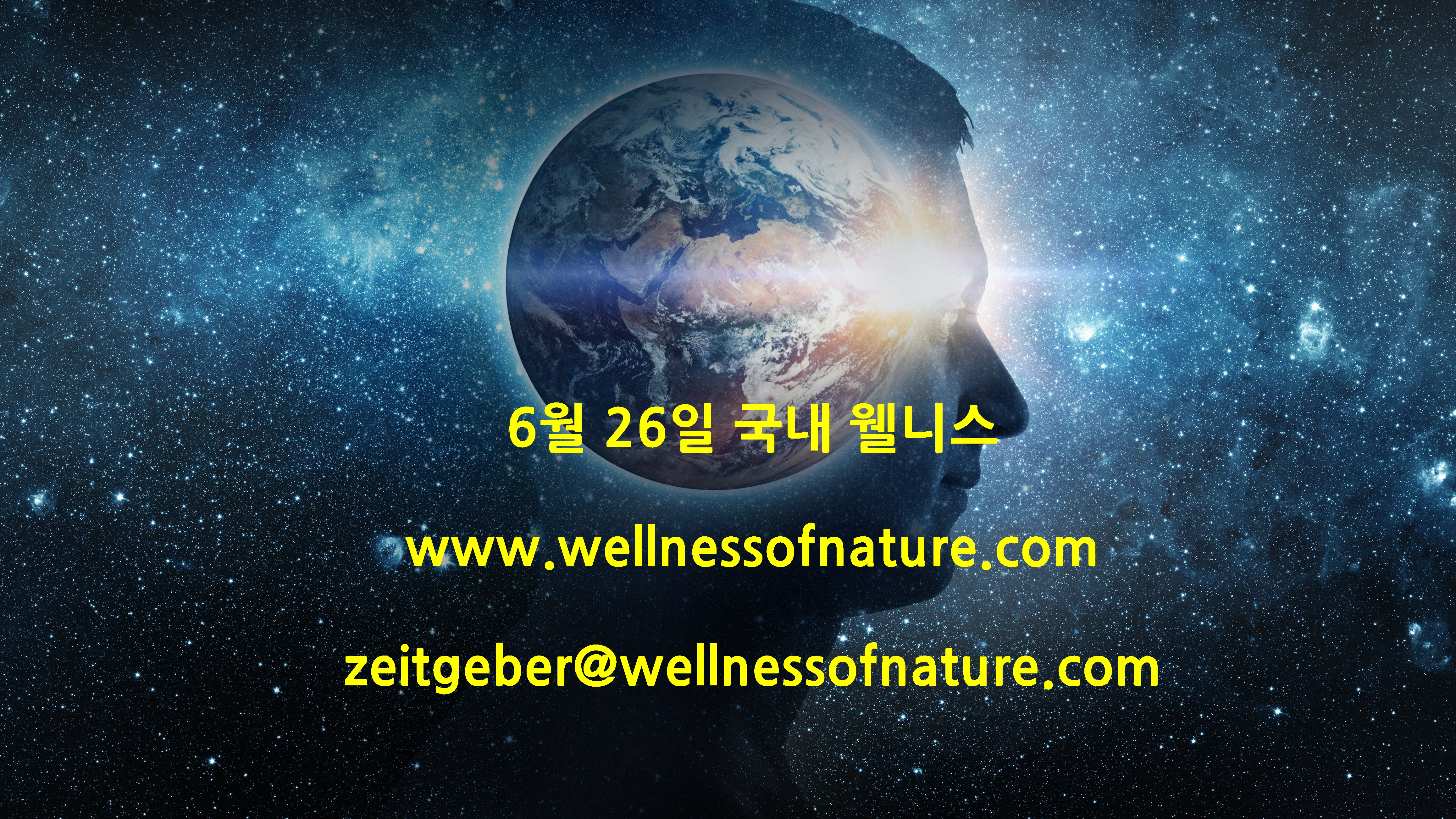  2024년 6월 26일 국내 웰니스 뉴스