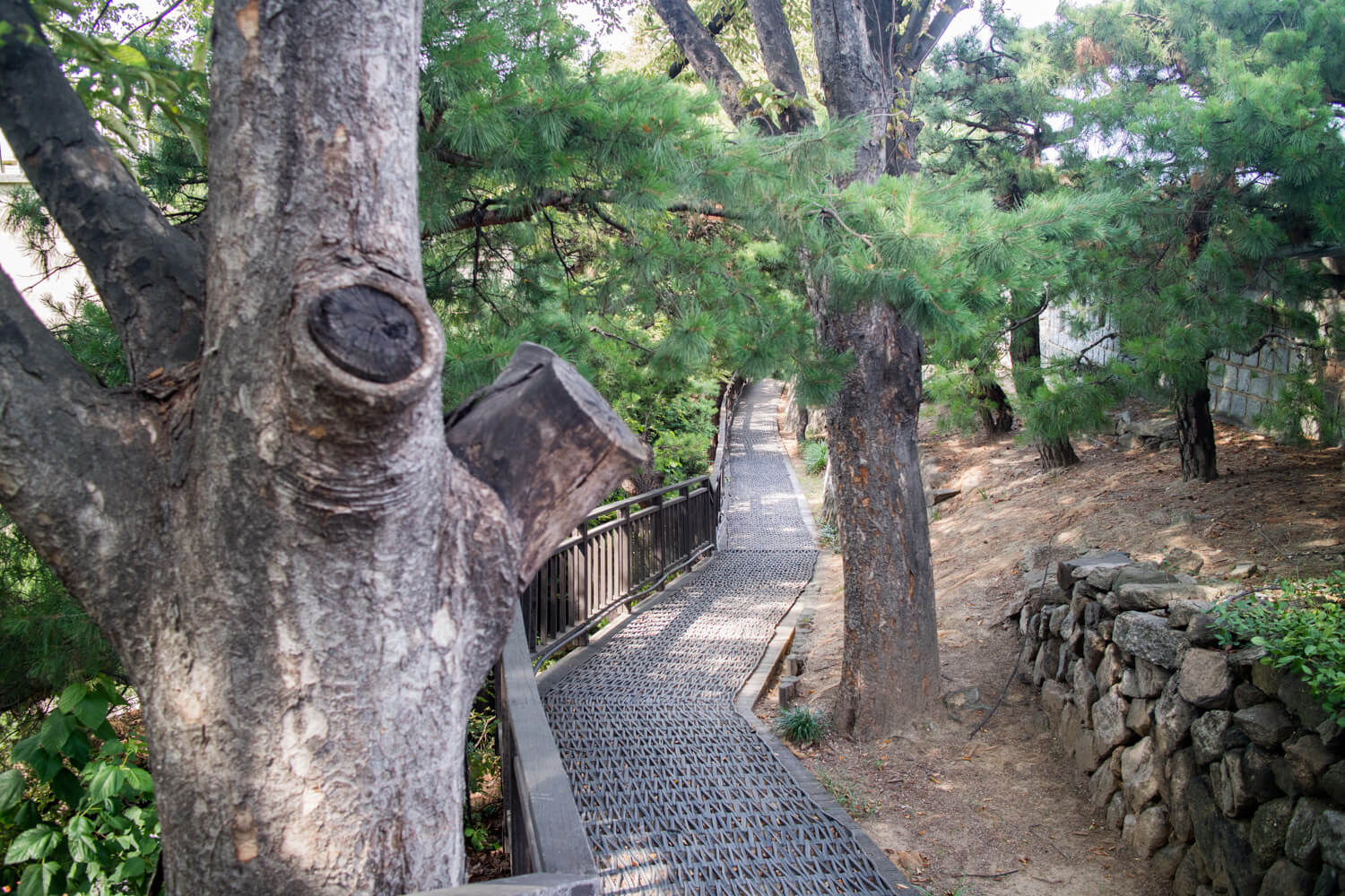 서울여행 추천 코스 걷기 좋은 길 다산 성곽길