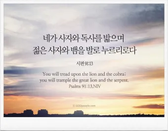 시편 91편 잠언 묵상 말씀_9