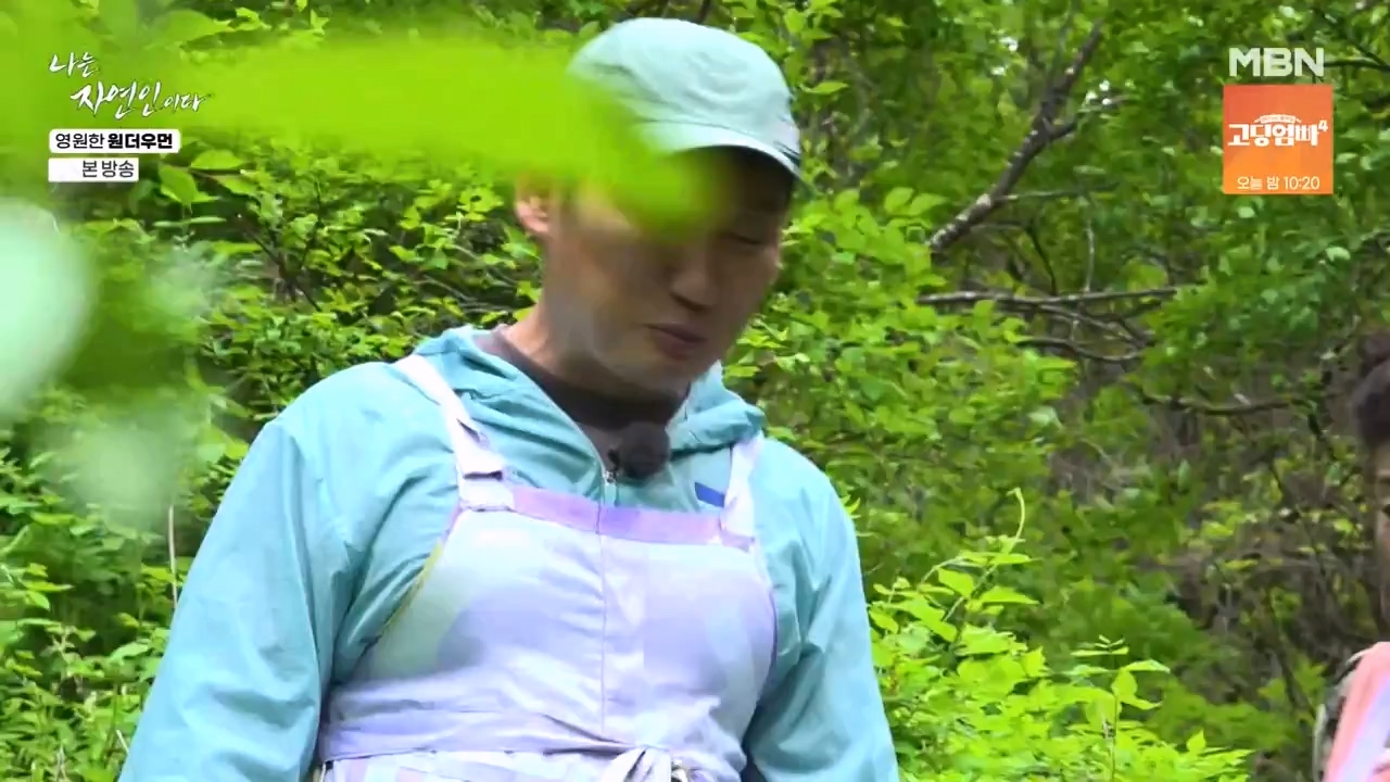 나는 자연인이다.E606.240523p-NEXT.mp4_20240523_195553.602.jpg