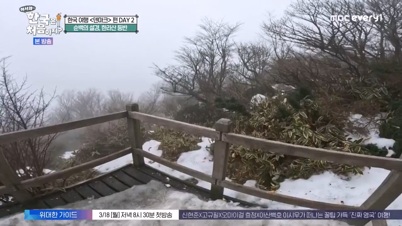어서와 한국은 처음이지 시즌2.E303.240223p-NEXT.mp4_20240223_212056.007.jpg