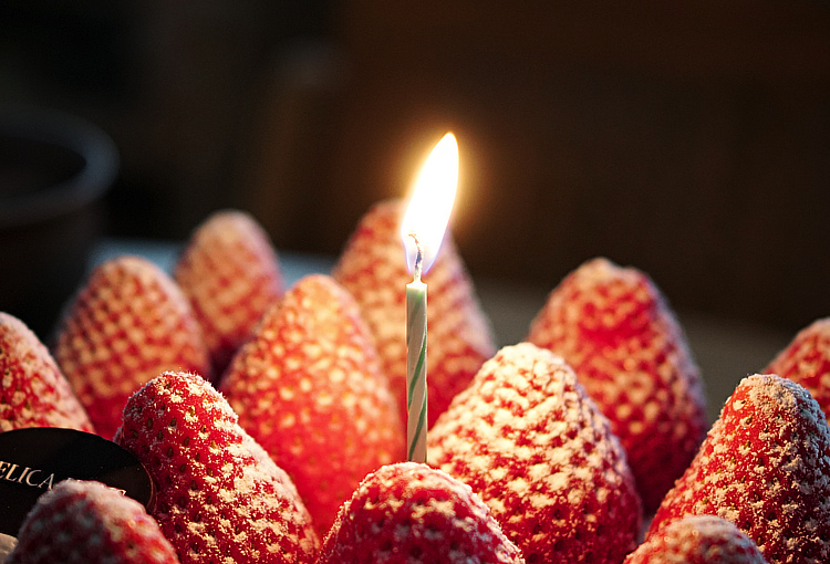 델리카한스 딸기케이크 촛불