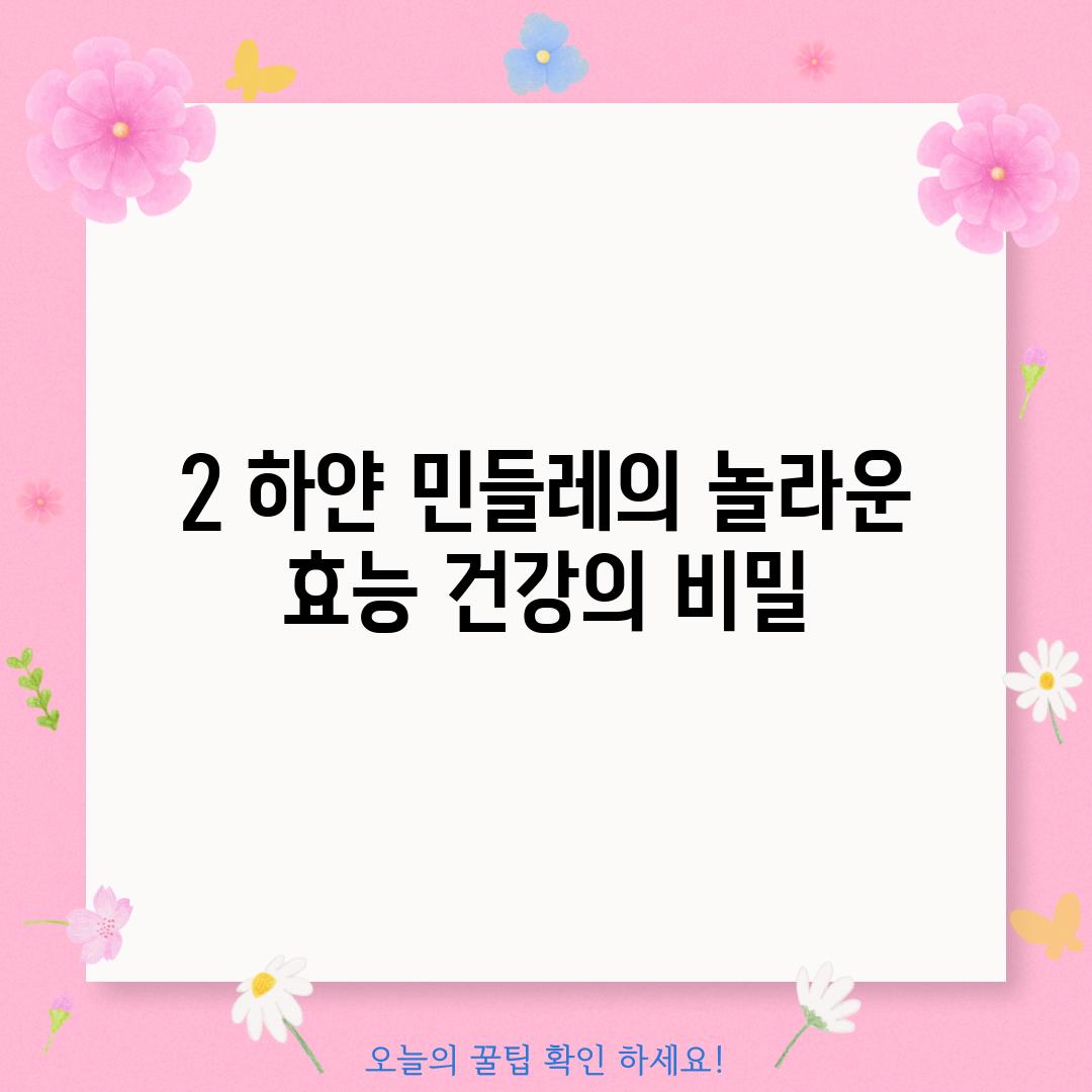 2. 하얀 민들레의 놀라운 효능: 건강의 비밀