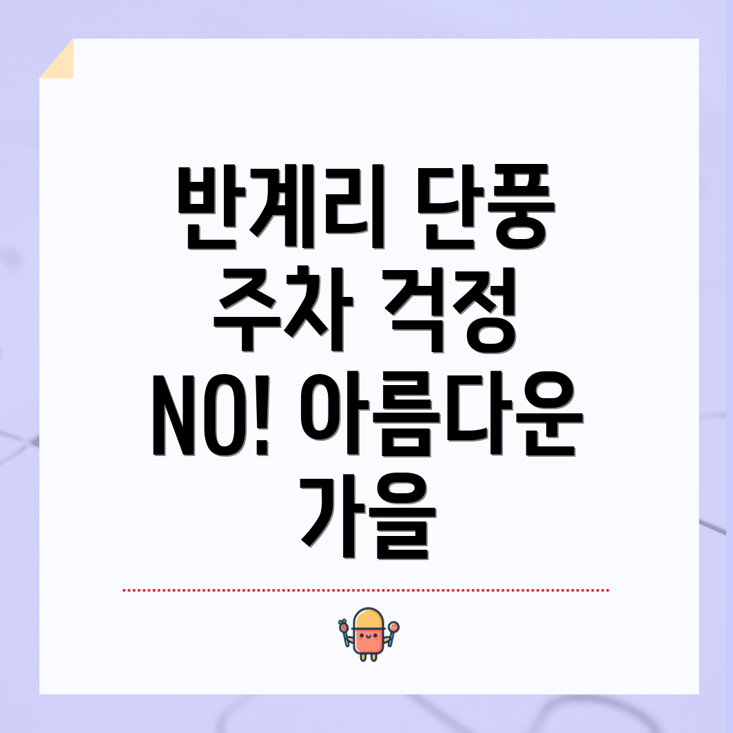 강원도 원주 반계리 은행나무