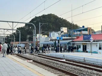 정동진역 ktx 기차시간표 요금표 예매_21