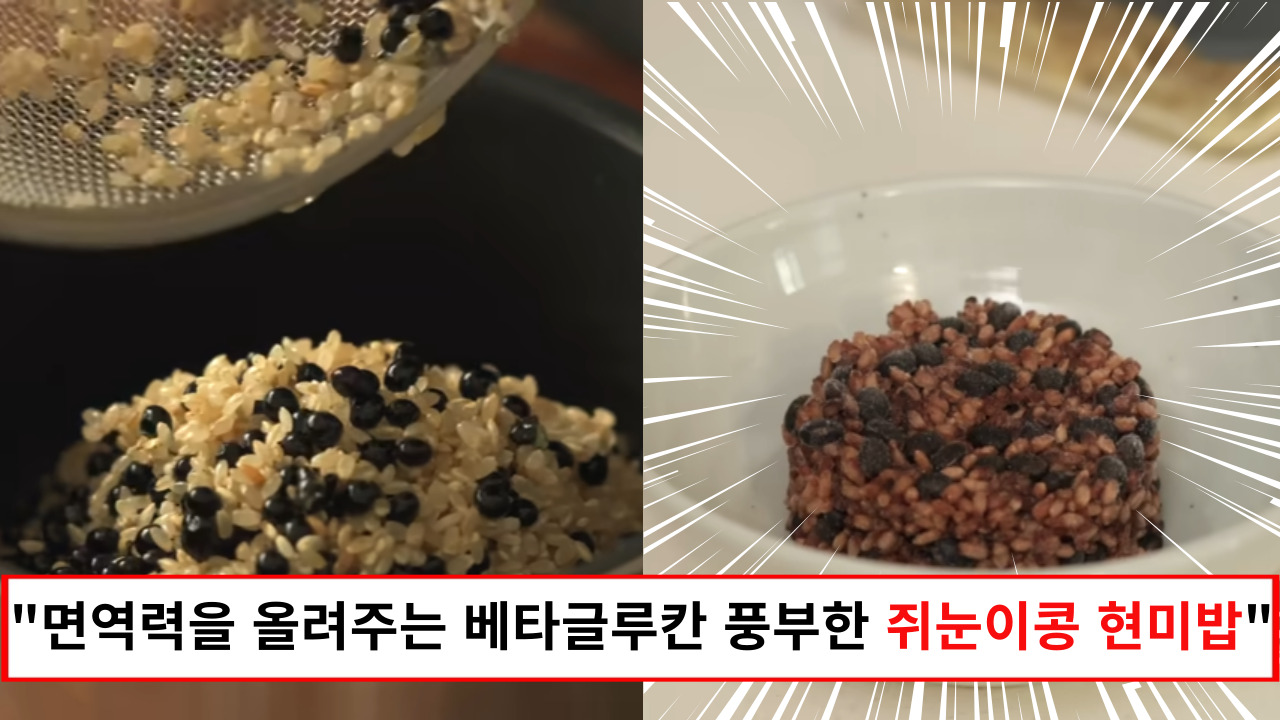 "온가족의 면역력을 챙겨주는 특별한 밥 레시피" 현미밥과 쥐눈이 콩의 완벽 비율과 한가지 꿀팁 공개
