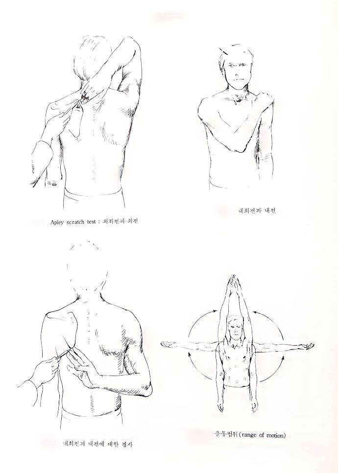 견관절 운동 검사
