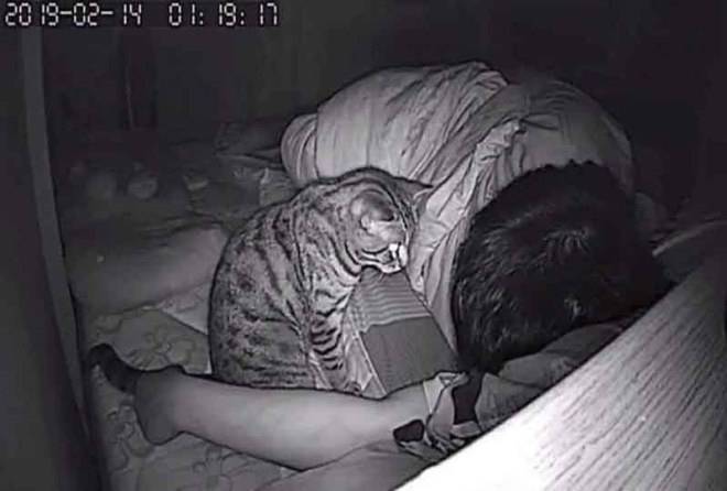 img.jpg