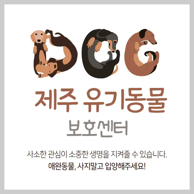 제주도-유기동물보호센터-강아지-고양이-유기동물보호소