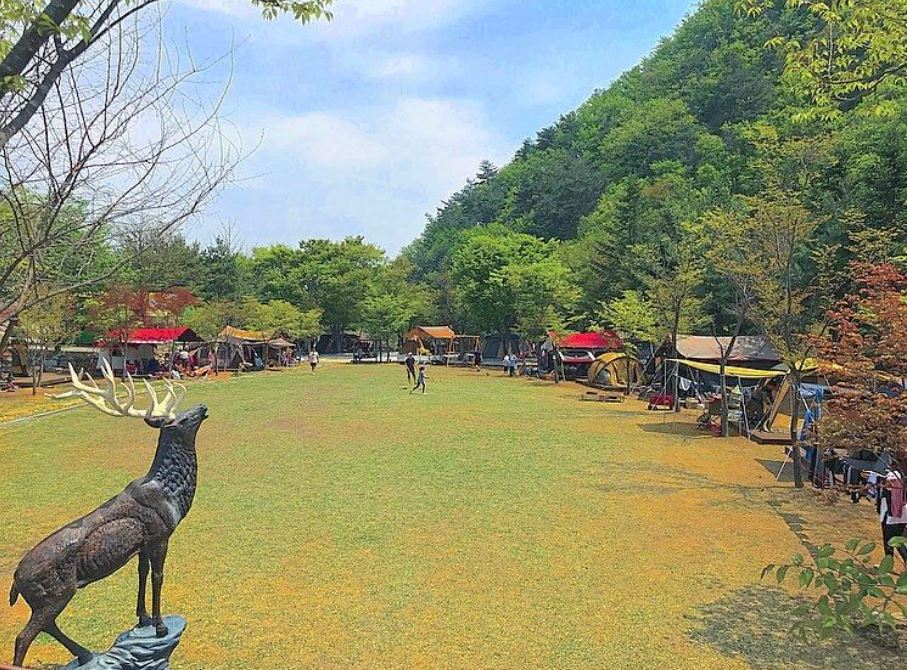 한스캠핑장 이미지