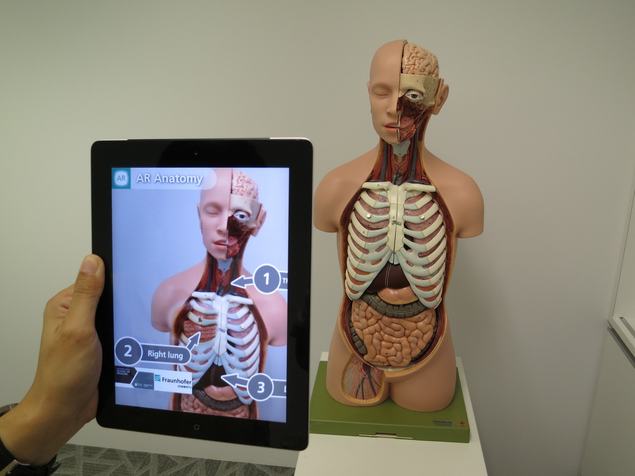 AI 기반 스마트 헬스케어: 맞춤형 의료와 예방 진단의 시대