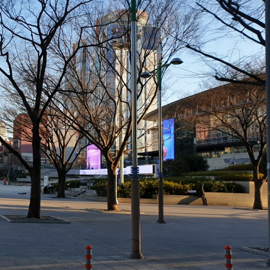 티비조선3 [방송촬영]렌트카차량지원 2