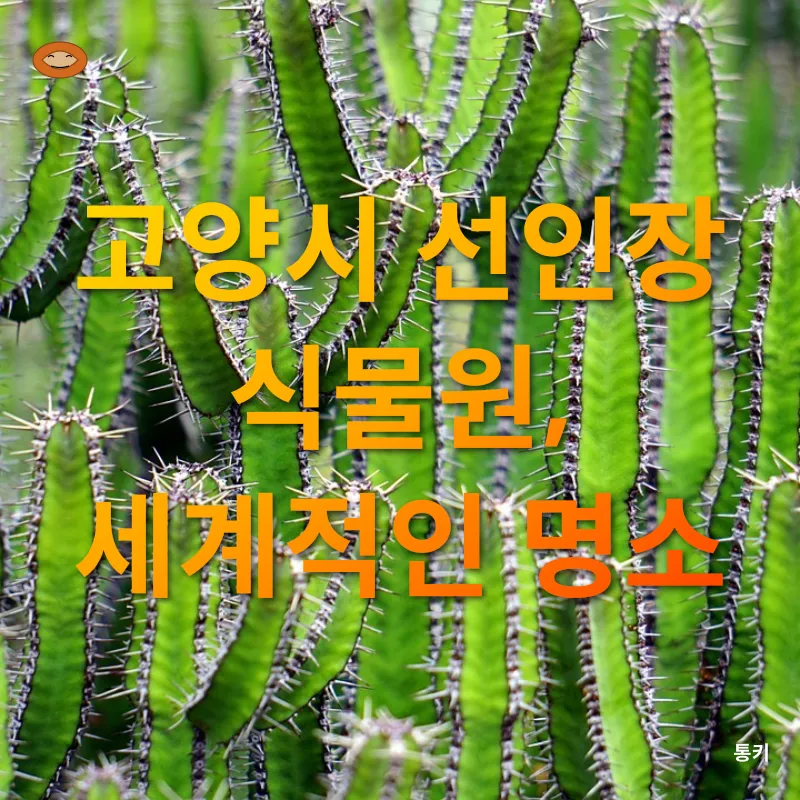 선인장_2