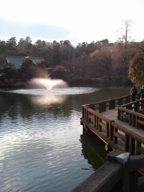 도쿄 여행 🗼 이노카시라 공원(井の頭恩賜公園)